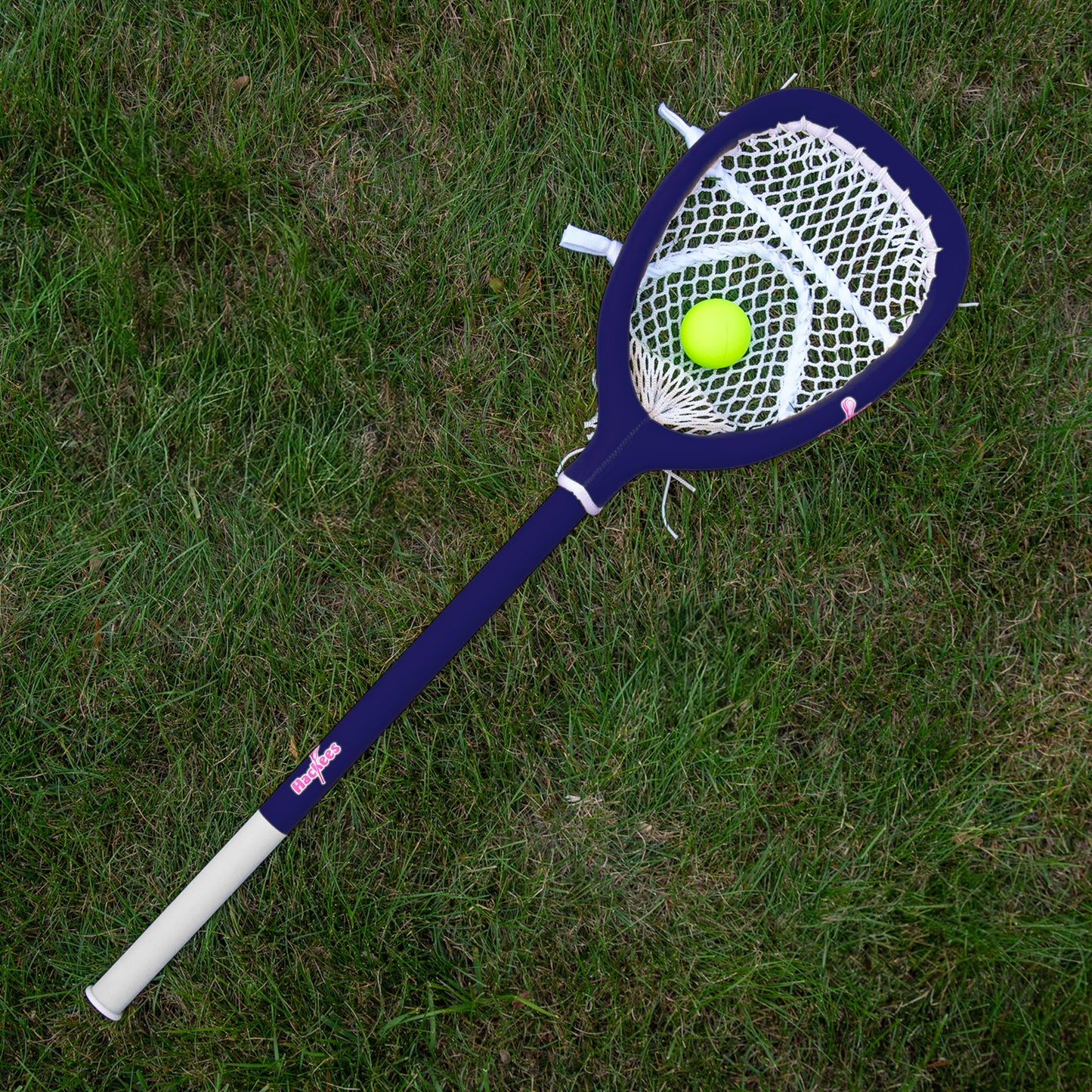 The Goalie Stick